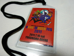 nanomugen20110716.jpg