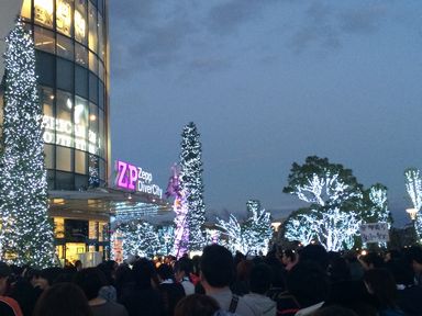 zeppdc20140113.jpg